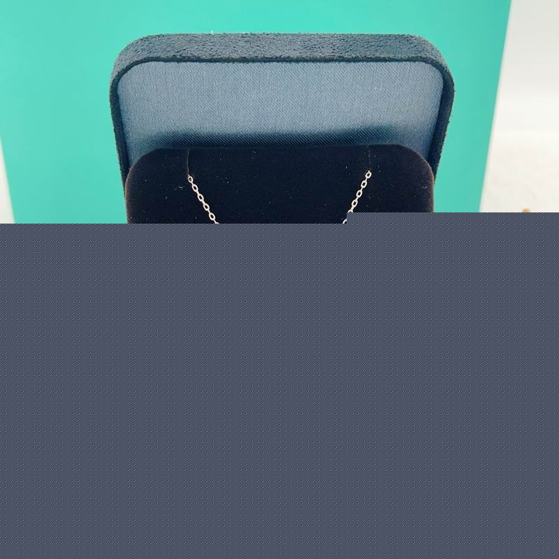 Tiffany Necklace 05yxs17
